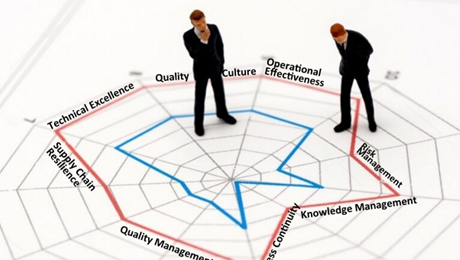 QMM Assessment Graphic